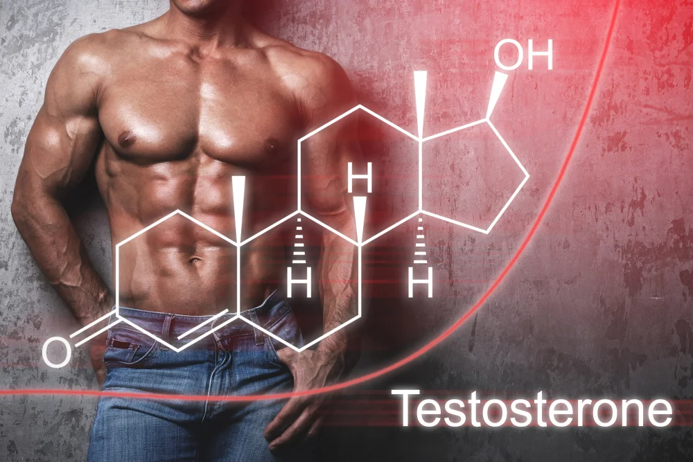 Лучшие способы повысить уровень тестостерона у мужчин