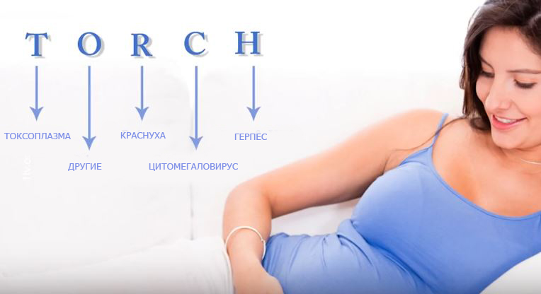 Планирование беременности: анализ на TORCH-инфекции