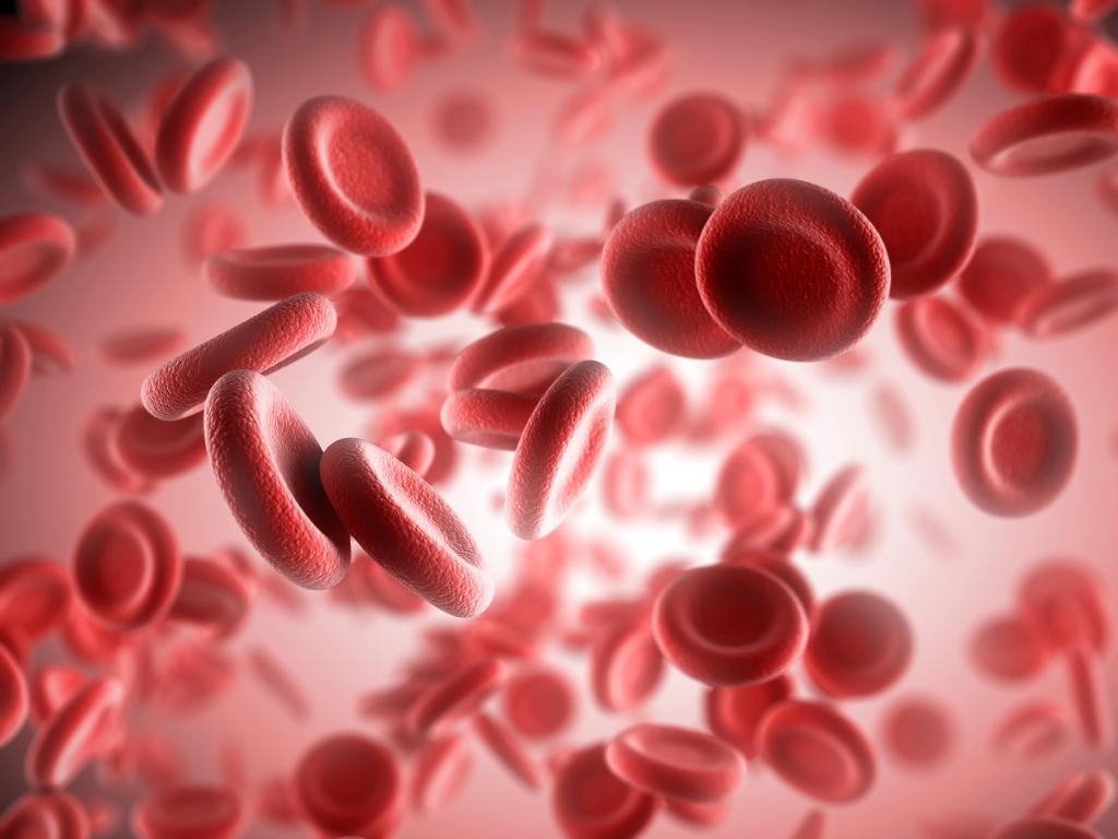 Что такое гемоглобин, его норма и как его повысить