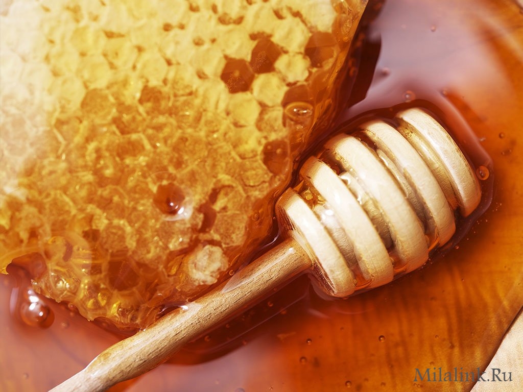 Полезен ли мед и прополис при язве желудка?