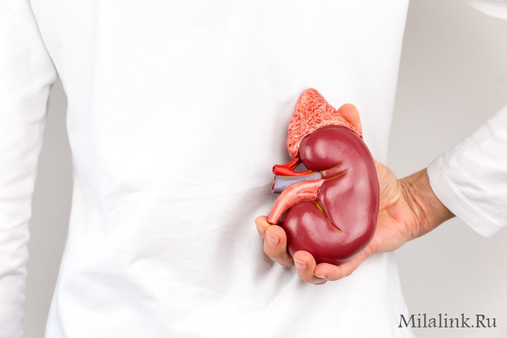 Рецепты сборов трав при мочекаменной болезни