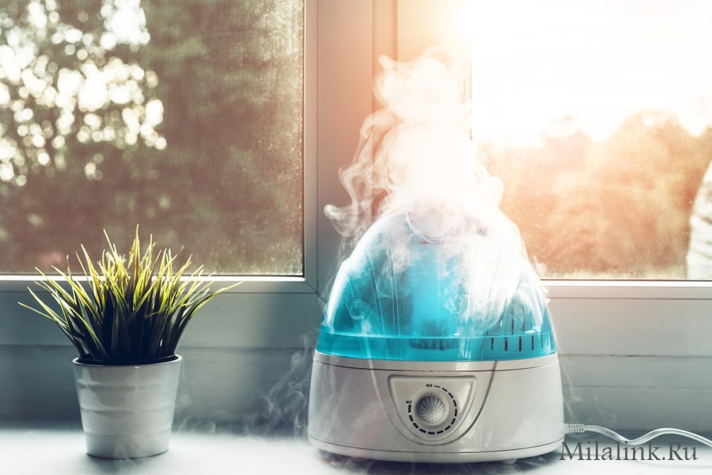 Как выбрать увлажнитель воздуха для дома