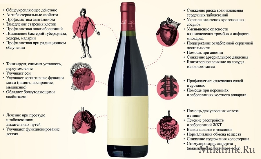 Чем полезно вино для здоровья человека