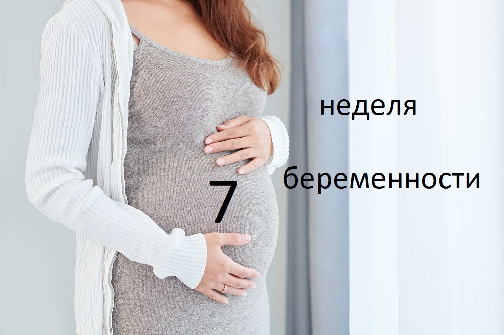 Седьмая неделя беременности