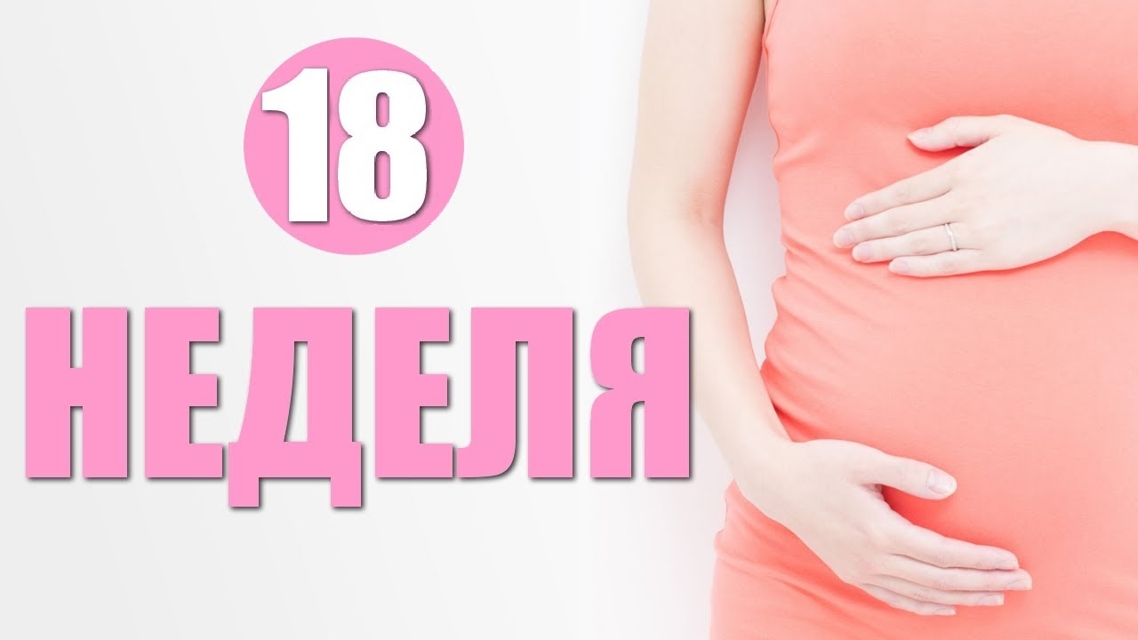 18 неделя беременности: что происходит с малышом и мамой