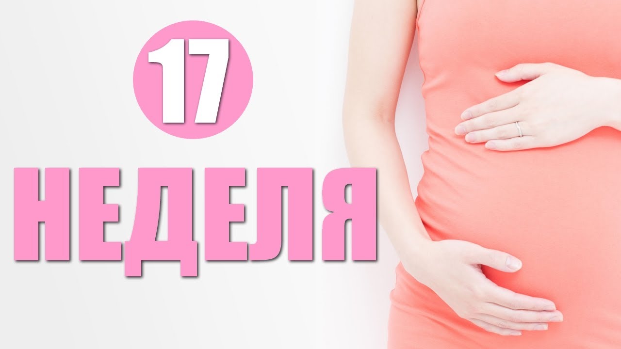 17 неделя беременности: что происходит с малышом и мамой