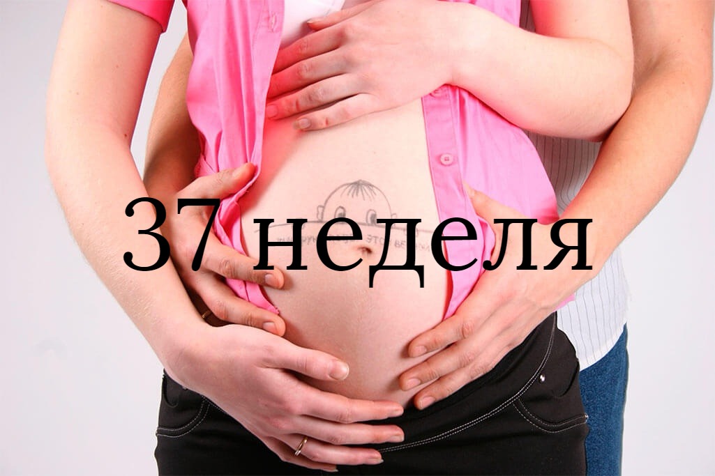 37 неделя беременности: что происходит с малышом и мамой