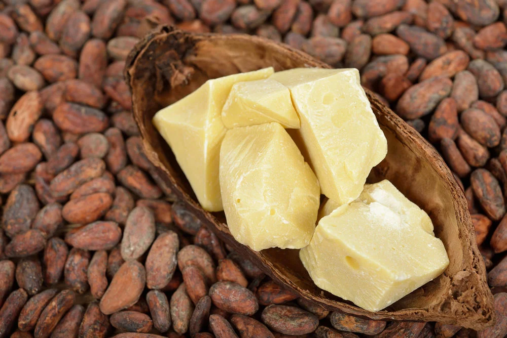 Масло какао: способы применения для здоровья