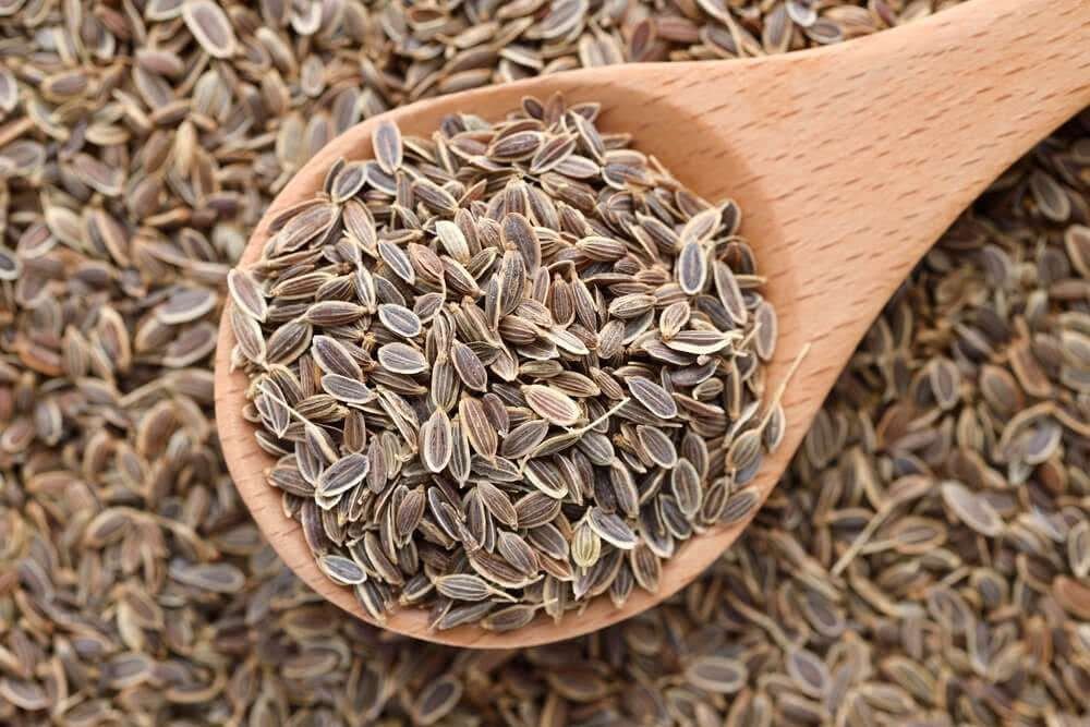 Семена укропа: польза, рецепты для здоровья