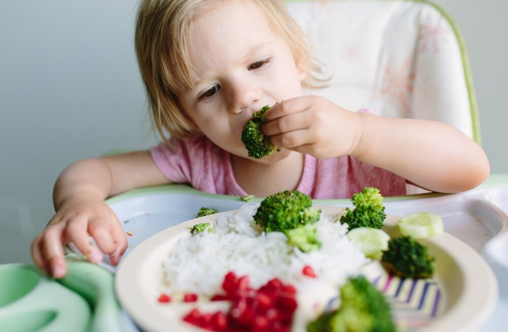 Чем опасно вегетарианство в раннем возрасте?
