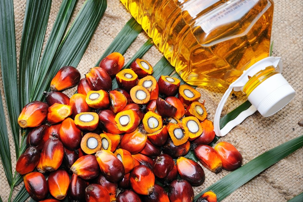 Роль пальмового масла в детском питании