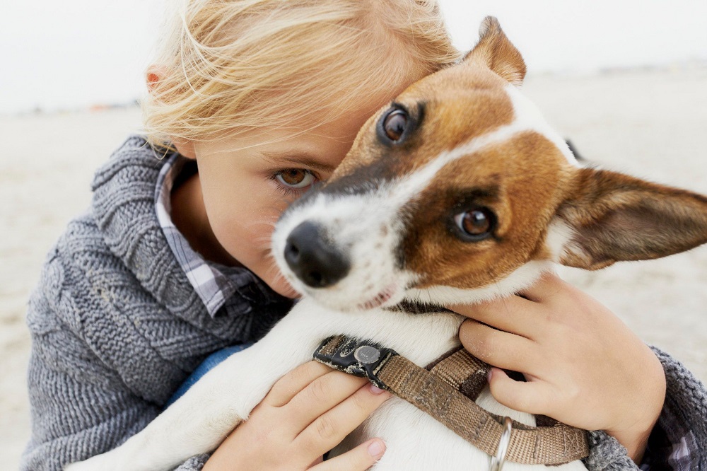 Ребенок хочет собаку: стоит ли заводить